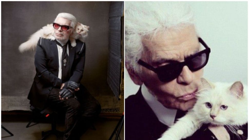 Conoce a la gatita que heredó la fortuna de Karl Lagerfeld