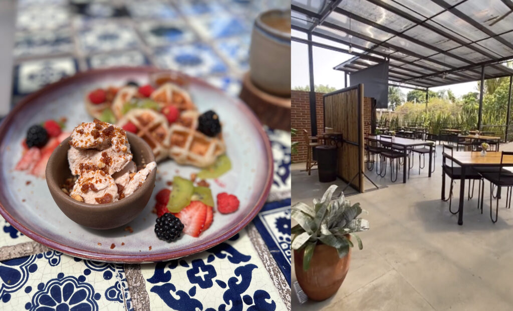 Descubre el encanto de Malva: el destino perfecto para desayunar en Cuernavaca